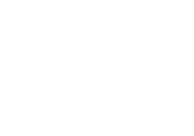 Mobile Devices